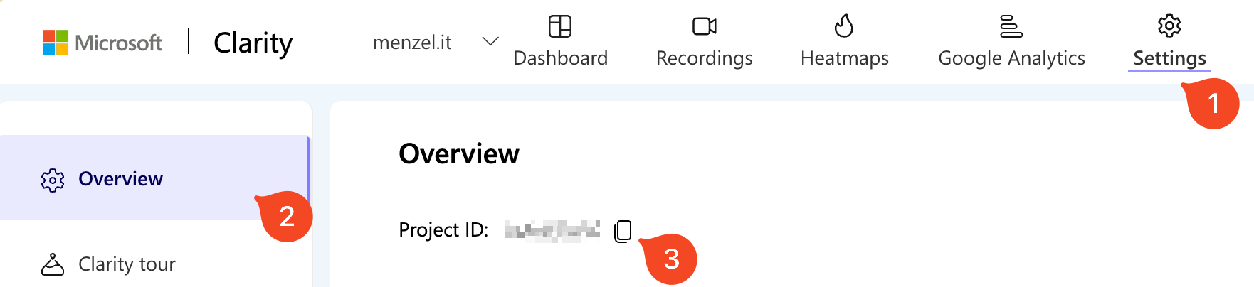 MS Clarity Project ID in Settings